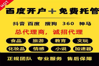 SEM代理服务：案例分享，效果显著